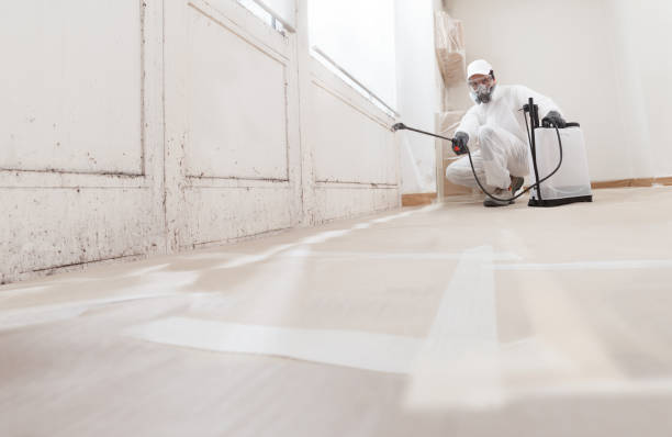 24/7 Emergency Attic Mold Remediation experts in Thurmont, MD